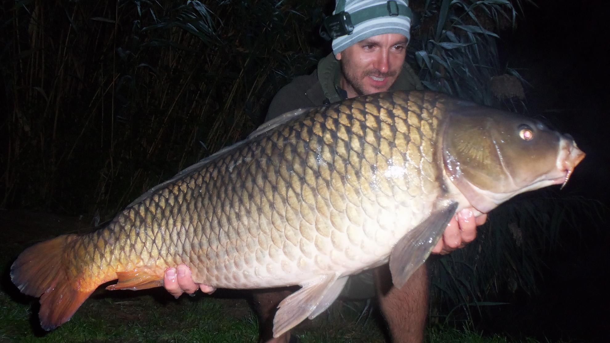 Pro Team - 1021596.JPG